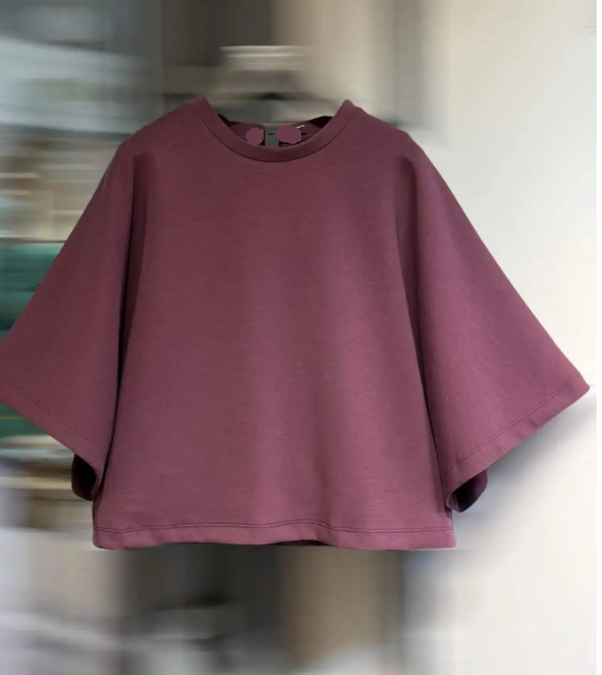 Sweat NOAH - Manches courtes - Violine
